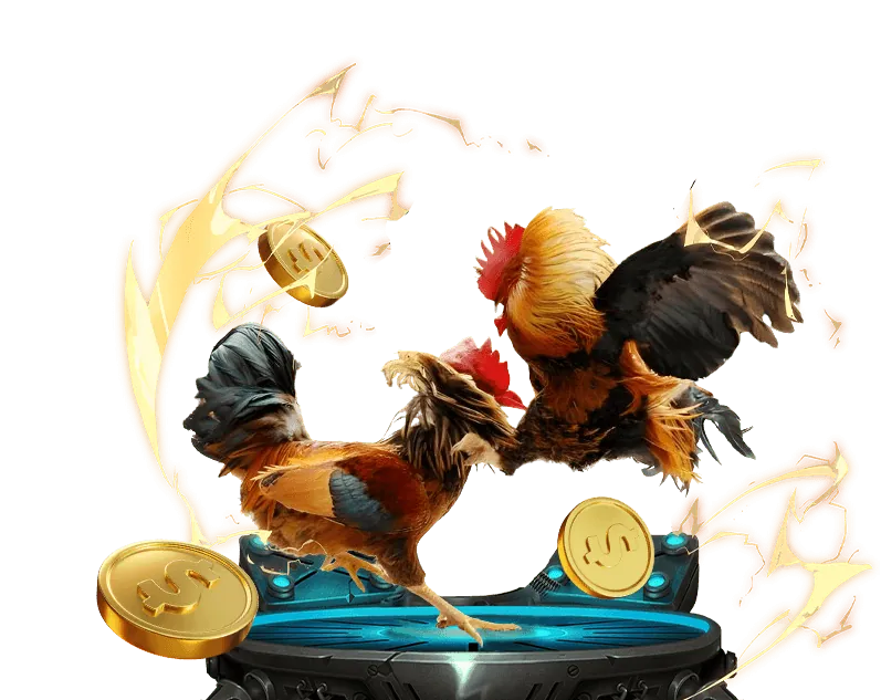 Hướng dẫn đặt cược đá gà i9bet